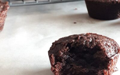 Easy Two Bite Brownies